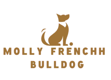 mollyfrenchhbulldog.com